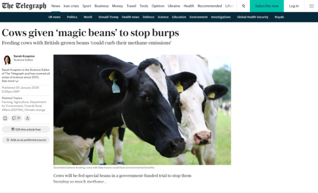 InFaba covered in the Daily Telegraph