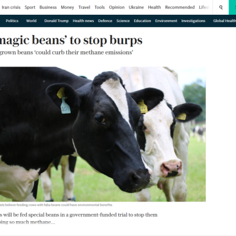 InFaba covered in the Daily Telegraph