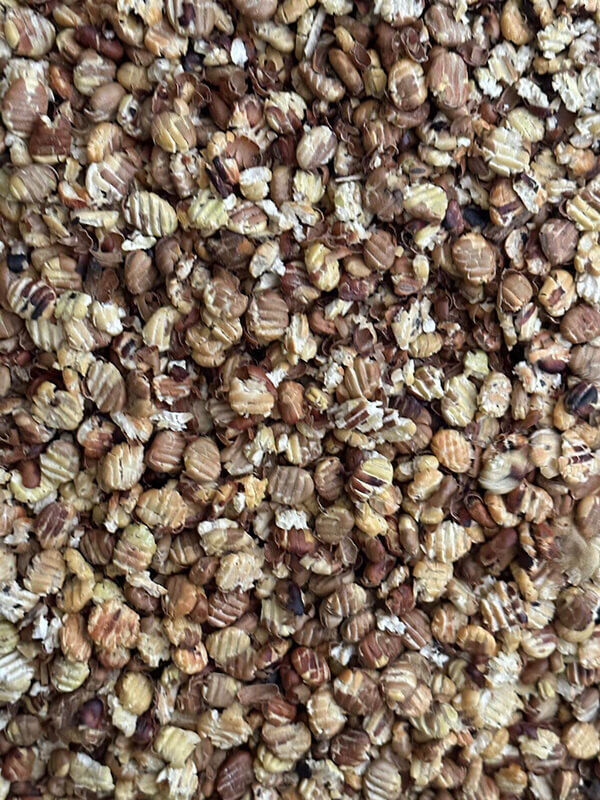 A homegrown soya replacement